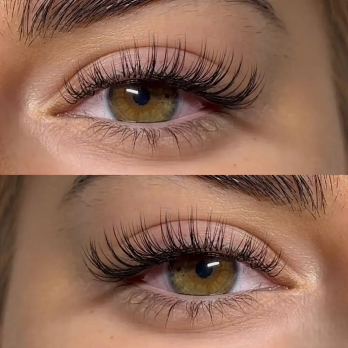 Imagic Handmade 5 Pair False Eyelash Kit- F05