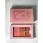 Handaiyan Going Blush 6 color Blush Palette
