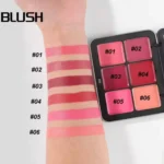 HANDAIYAN HD Face Essential Blusher + Contour 12 Modern Colors Palette