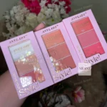 Anylady Define Your Style Blush & Highlighter