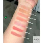 Imagic Baked Blush FA-151